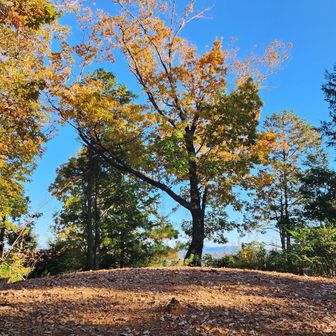 古墳は一応お墓なので上に立つのは気が引けるのだが、ガイドも置いてあるのでいいんでしょう
