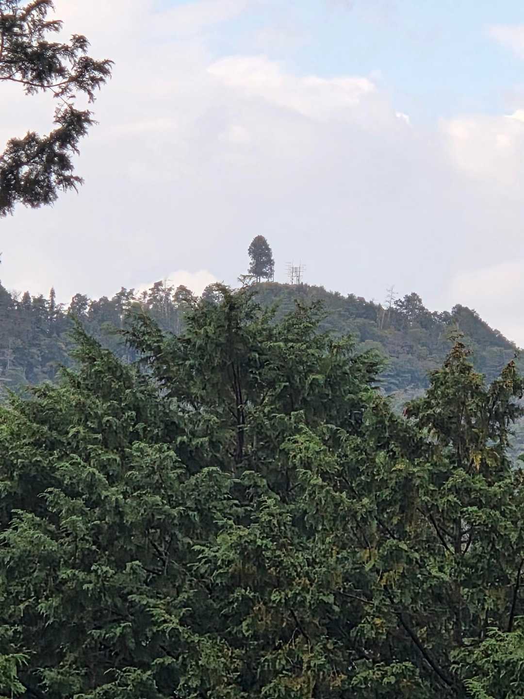 ここからの城山～‼️