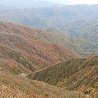紅葉を見て落ち着きます