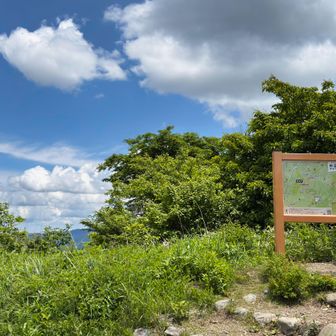 ここから山道へ