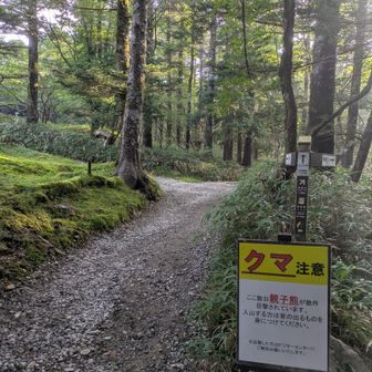 本当は夜明け前に出発して山頂からのご来光🌄といきたかったのですが…
まあ、またの機会にしよう。
6時40分に登山開始🥾