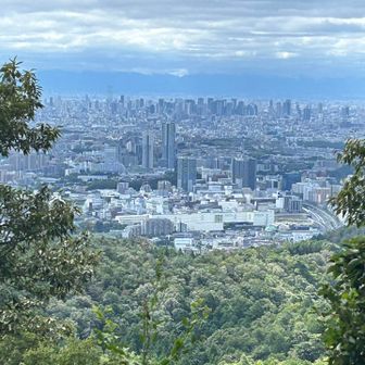山頂からの大阪の街
