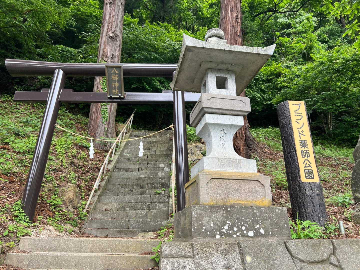 公園ぽくないけどブランド薬師公園。
鳥居に八櫛（やくし）神社⛩️