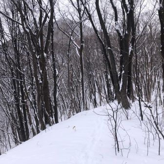 登山口の北側

楽しみ方は人それぞれ
ただ『モラル』は大切

な〜んて、真面目すぎてらしくないかっ😅

バタ子さんな三角山でした。
ありがとうございました！