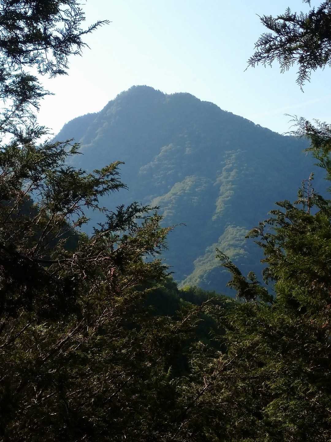 赤岩峠登山口-赤岩峠-大ナゲシ 往復コースの写真