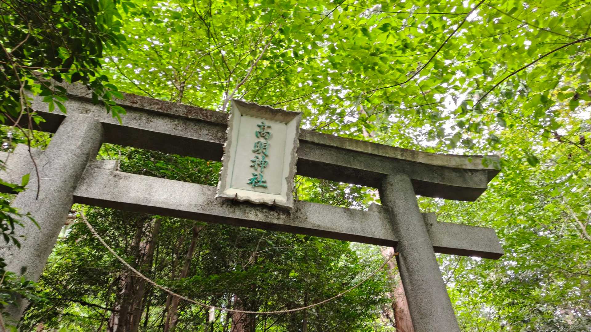 さらに参道の名残残る道を進むと立派な鳥居跡がありました。

ここから下山するまでの道は粘土質の土が露出している上に、歩かれていないのか苔が土にも岩にも付いてきていて非常に滑ります😰神経使うので疲れました😵‍💫