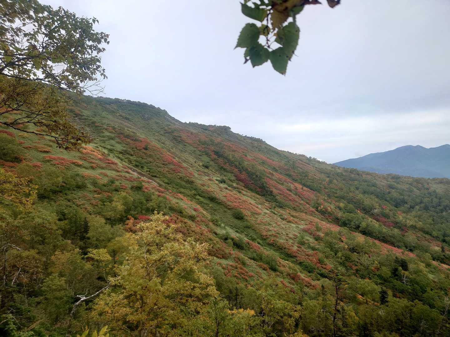 銀泉台発着｜赤岳登山口・第一花園 往復コースの写真
