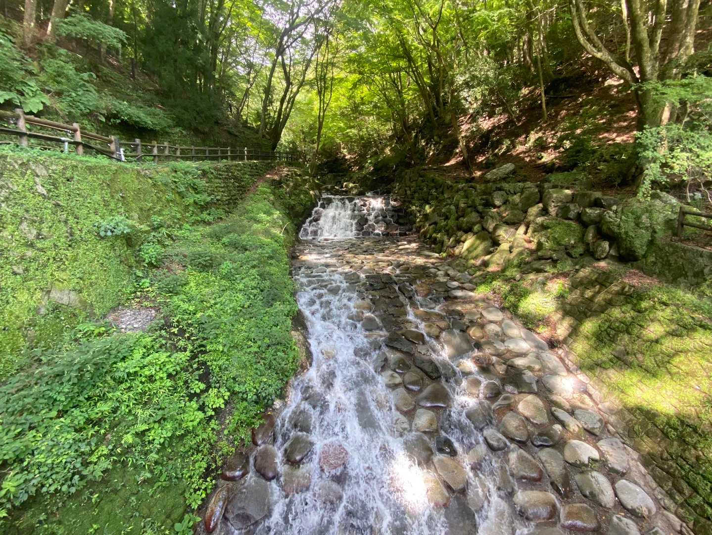 三方山 周回コースの写真