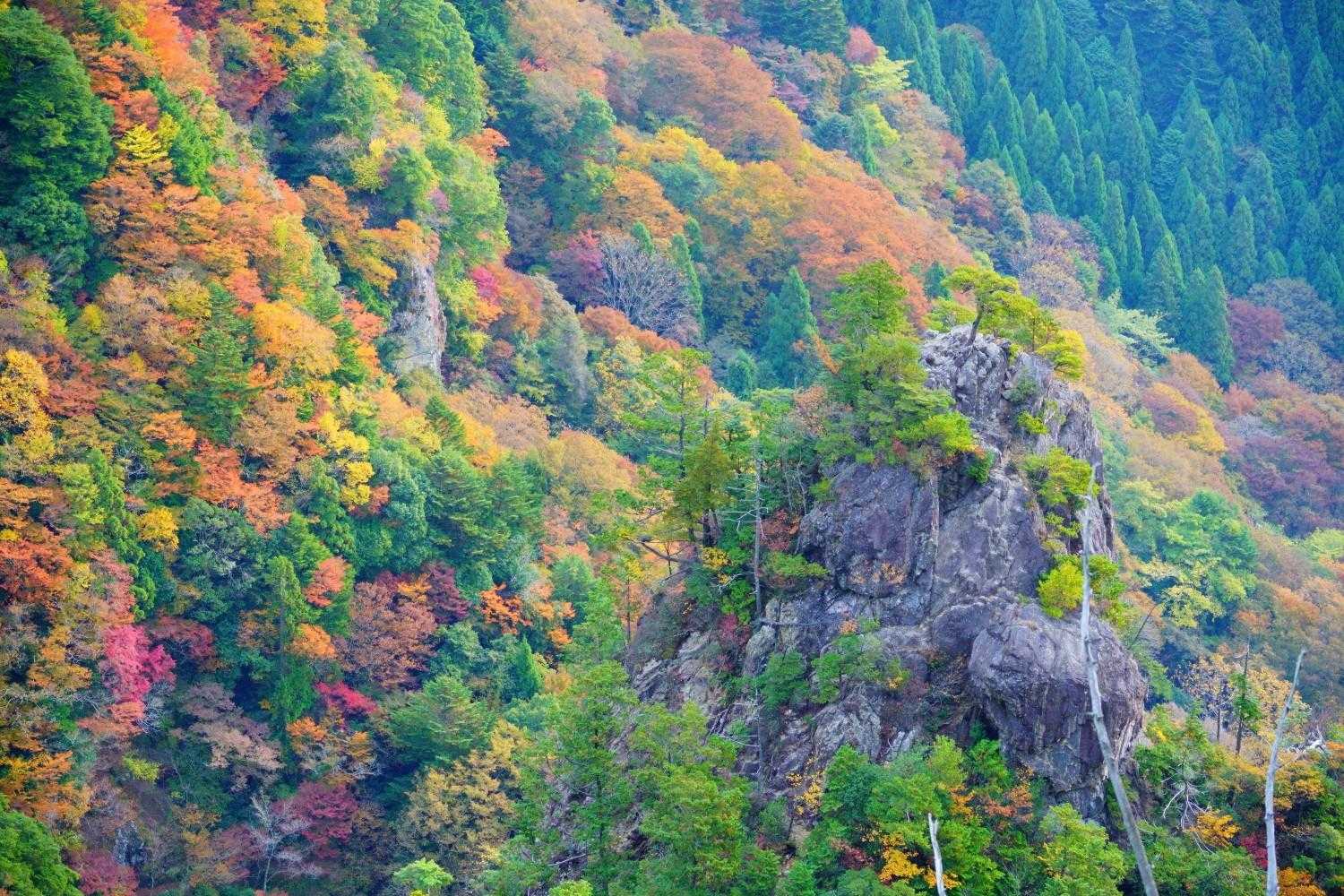 紅葉の中の地蔵岳