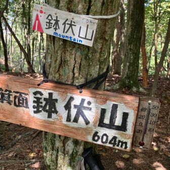 箕面/鉢伏山⛰️

もうちょっと先まで・・・