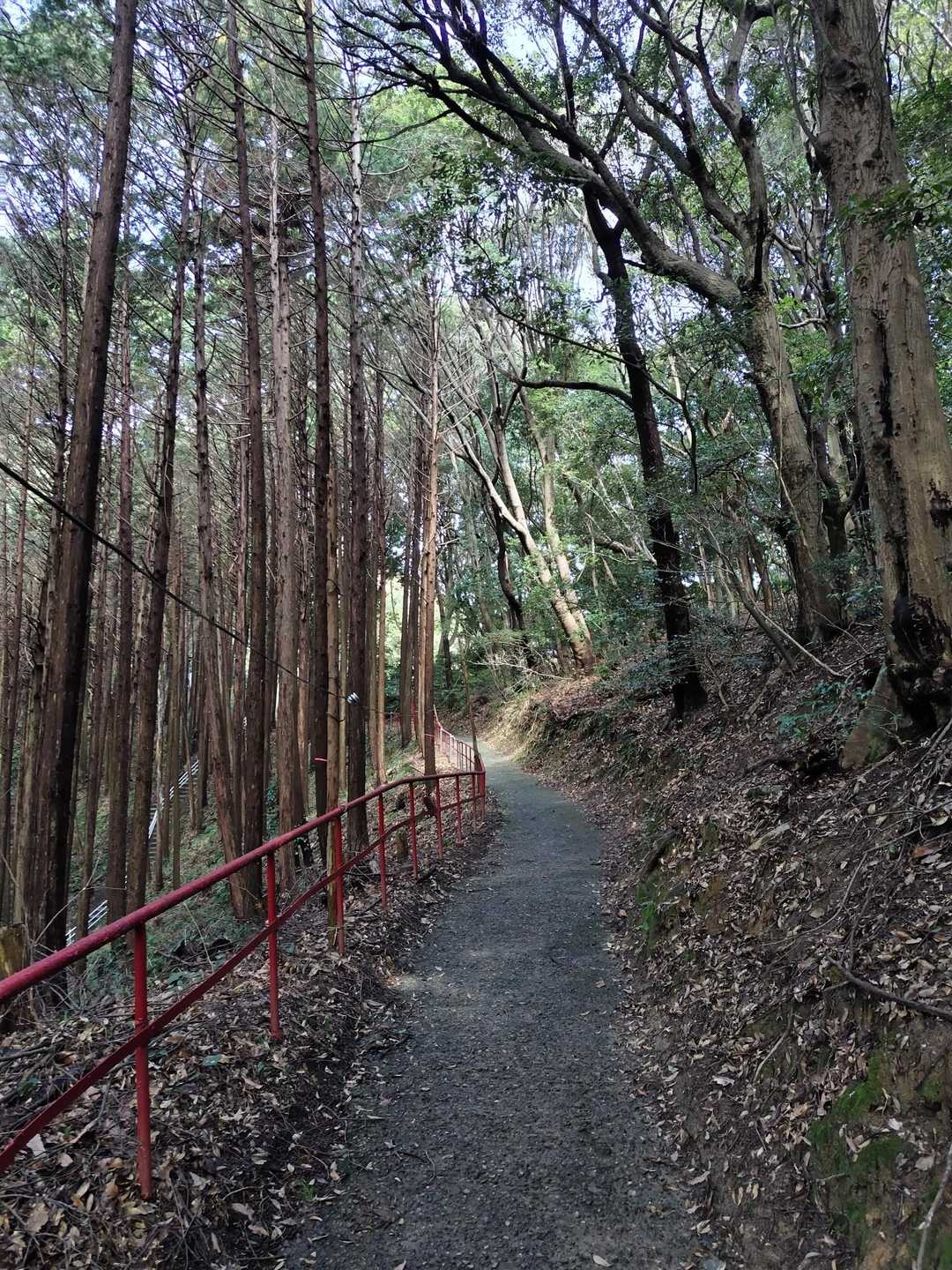 黒田神社-胸の観音寺-観音山 往復コースの写真