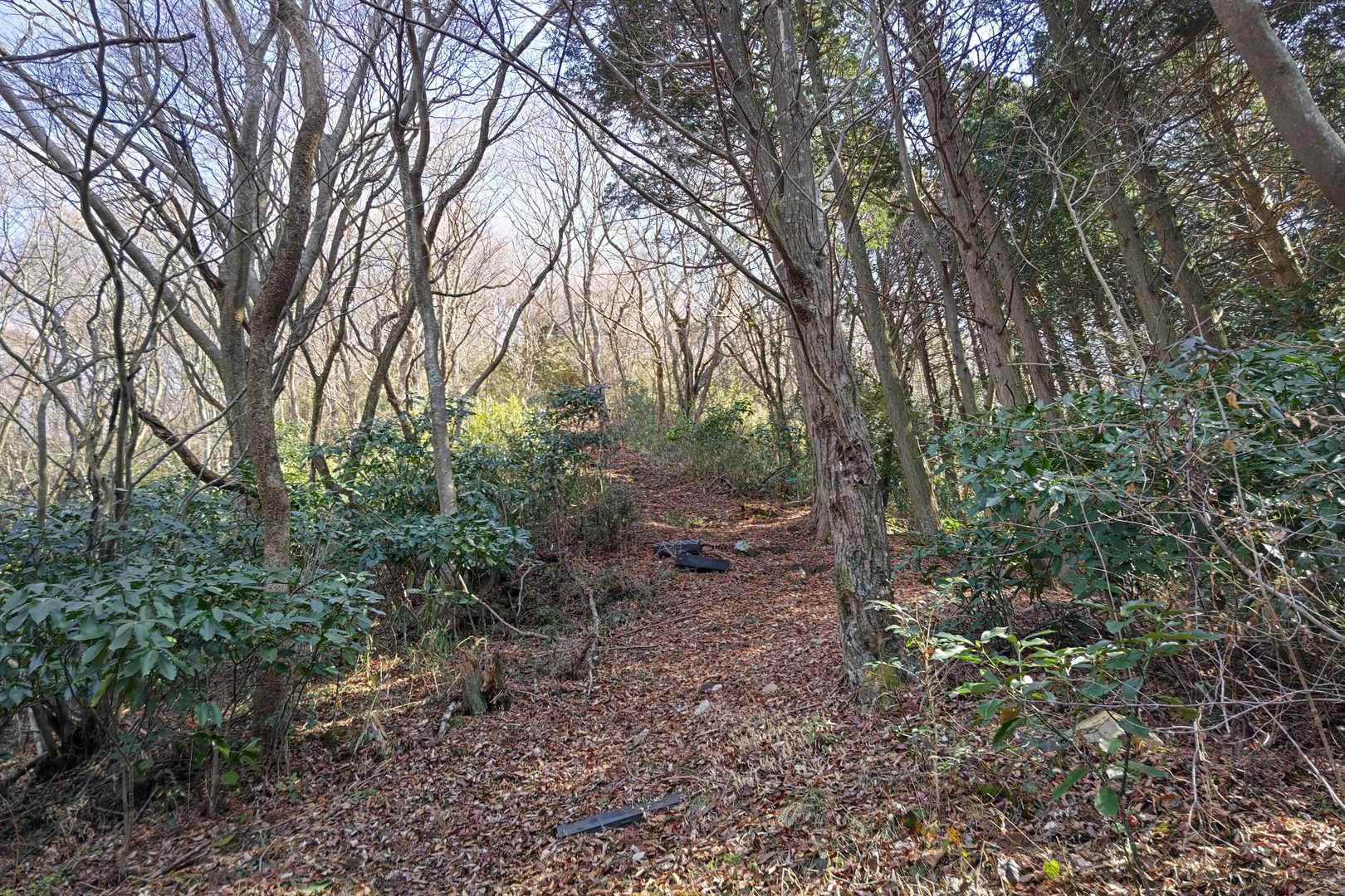 金峰山 往復コースの写真