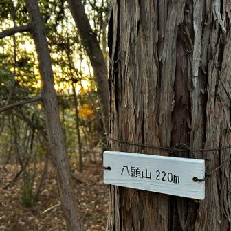 この先にルートがあるように見えるが、程なくルートは消えて急斜面になるため引き返す事。