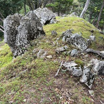 千間山⛰️
1378m

標識なし
