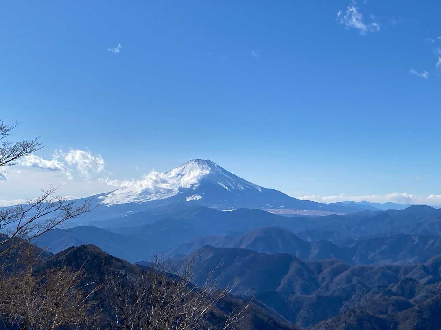 アップで🗻