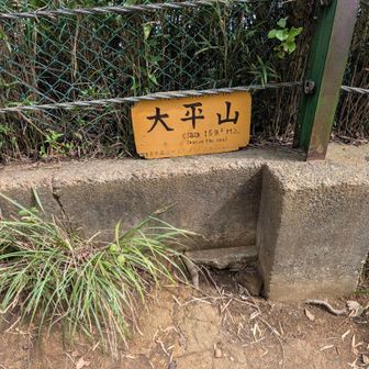 山頂