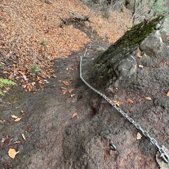 昨日も雨。岩が湿って滑りやすい
今日はとりあえず大の字まで行ってあとは中間道にしようと話しながら

のっけから急登
のっけから鎖