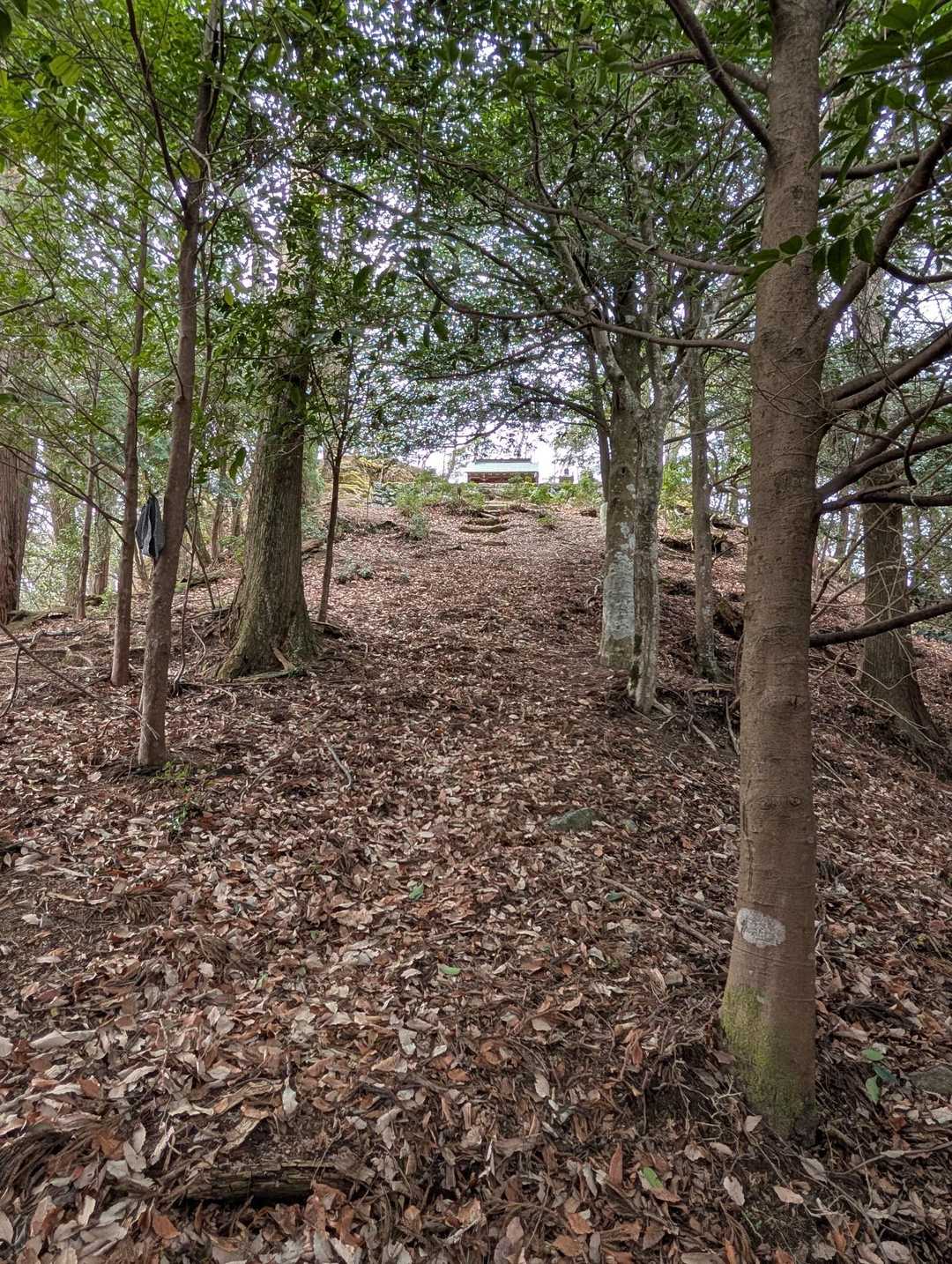 高束山 往復コースの写真