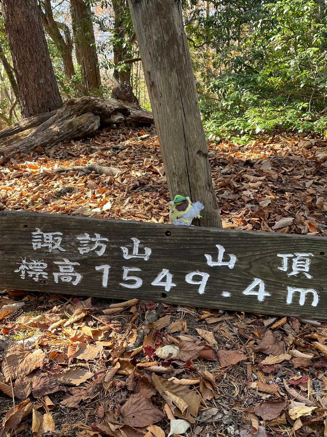 眺望なし