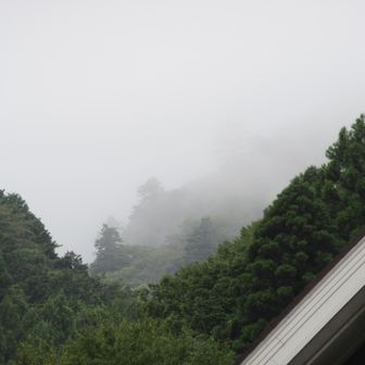 湿度が高いモヤモヤの天気　