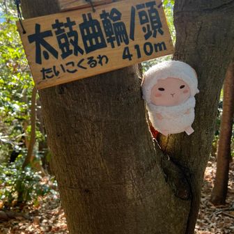 太鼓曲輪ノ頭ゲット