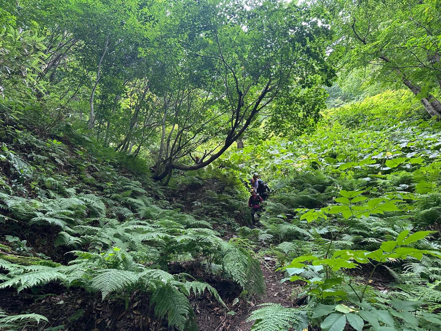 もう少しで登山口だよ〜💪