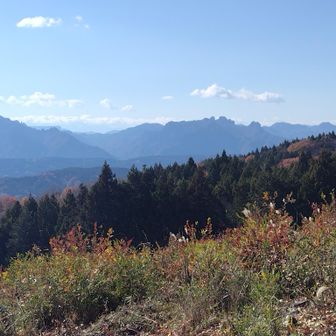 展望を楽しみながらランチタイム