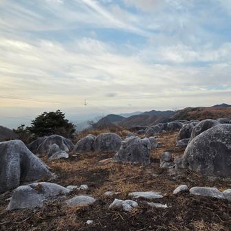 国の天然記念物、北九州国定公園に指定されています🎏