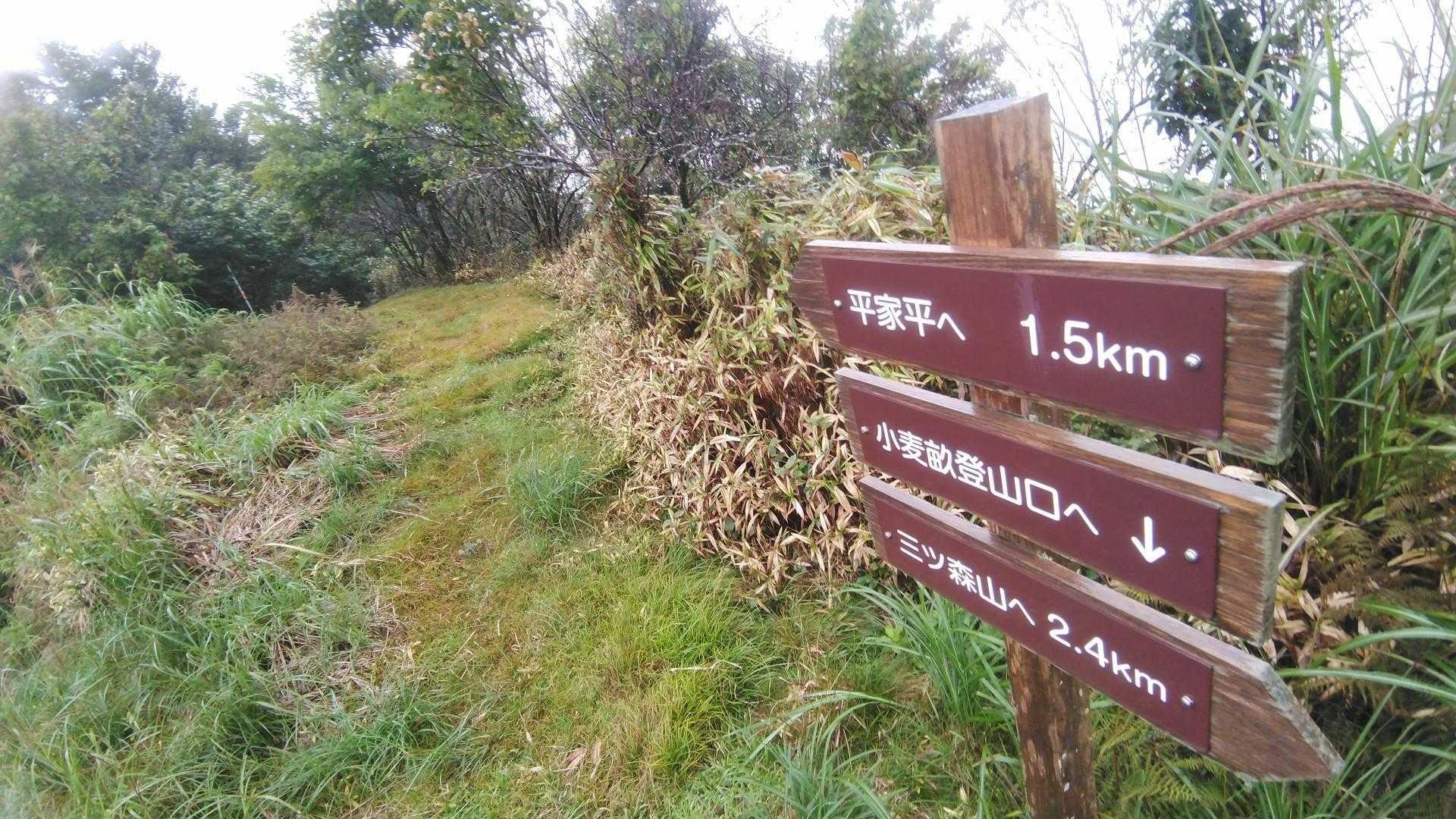 ここの分岐から下って行きます