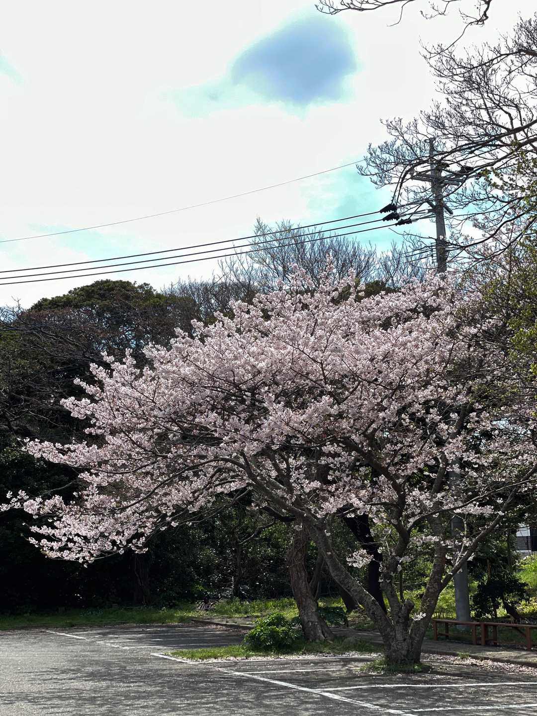 立石山登山口-立石山 往復コースの写真