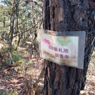 そろそろお遍路巡りしてーなー。