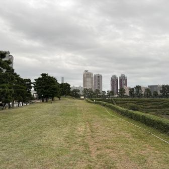 ほどよく走れる感じも、やはり山では…（しつこい）