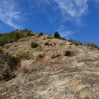 ゴツゴツかっこいい😍