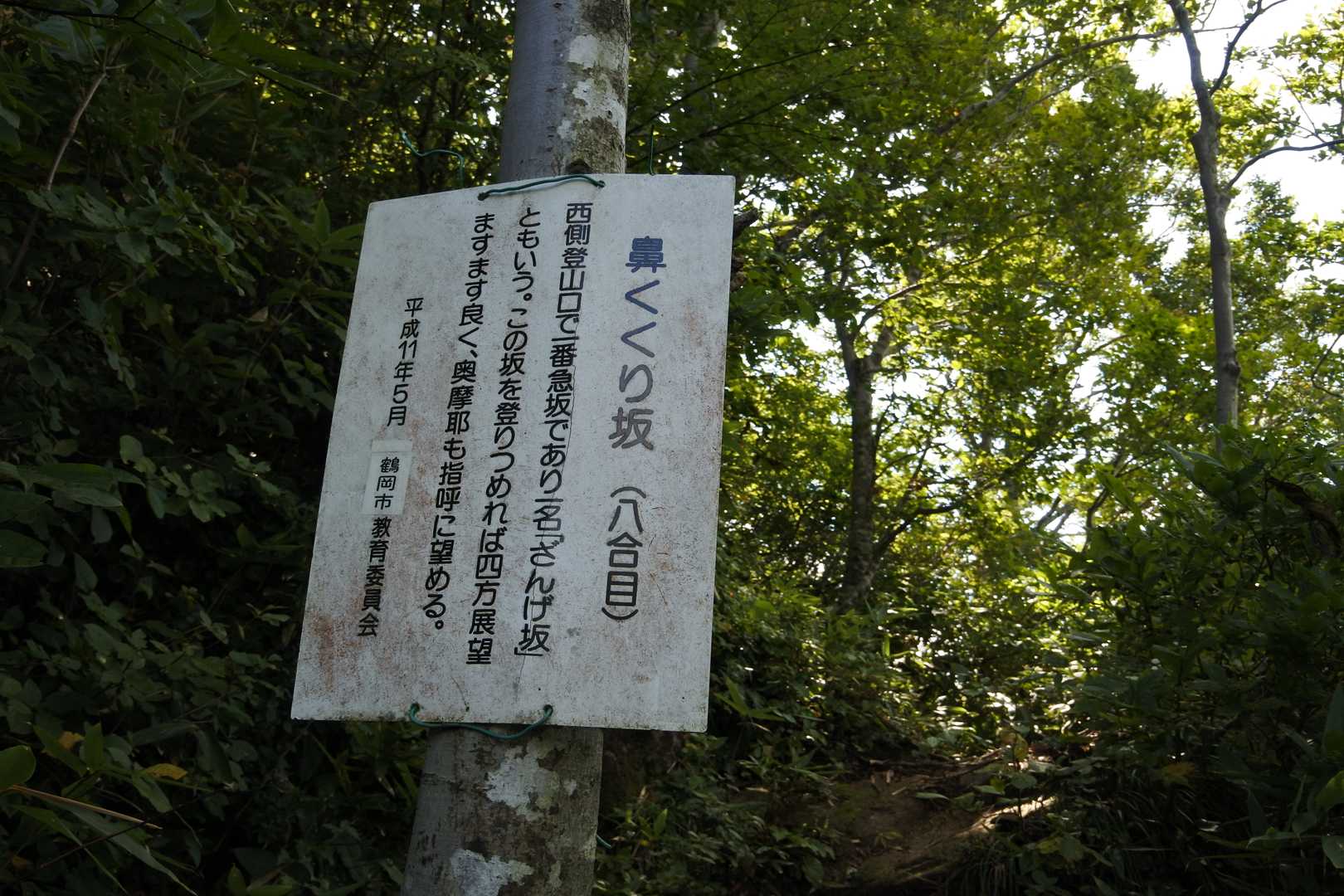ここからがきつかった
