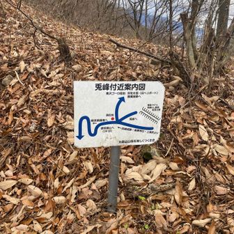 兎峰行ってみましょ☝️
ここにもYAMAPには無いルートが…