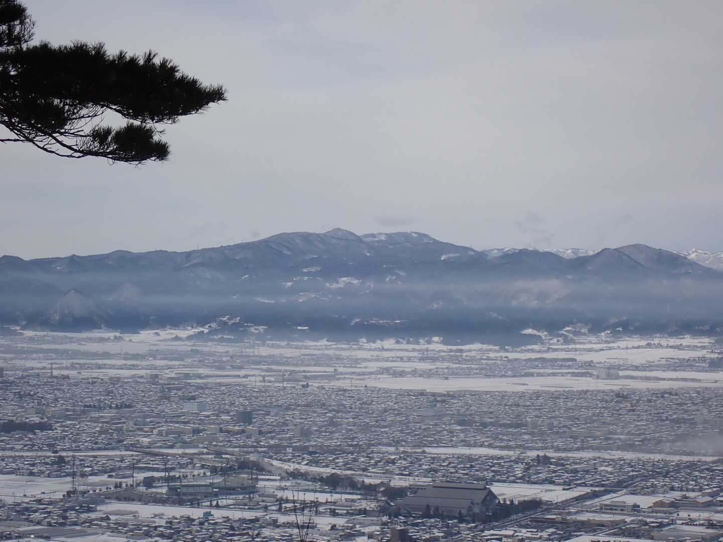 白鷹山
みるきーさ～ん、秘密基地見えたよ～