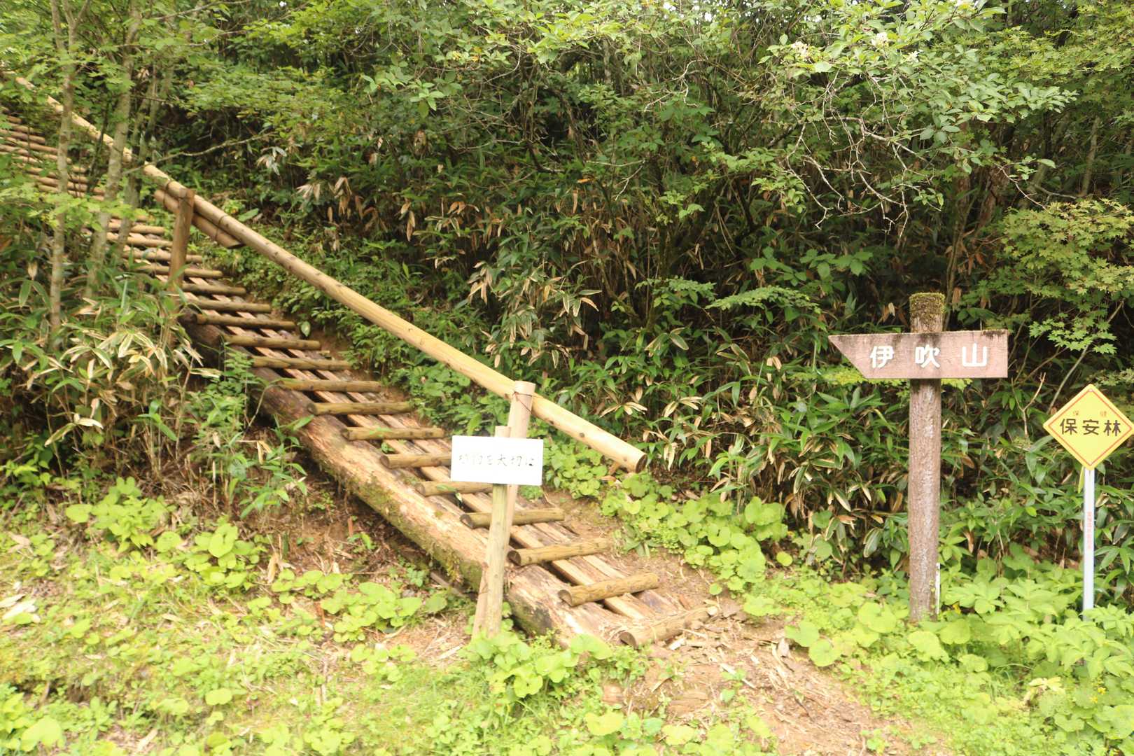 ここが1番山頂に近い登山口🤭