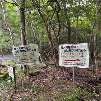車道を渡って、さあ、鶴見岳に向かいます。