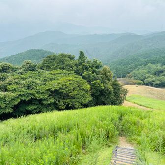 「しばらく山歩できていなかったから、筋肉がストライキを起こしたんだろうなぁ😆」

若干、ズレて曲がった腰を見つつ…