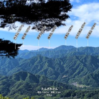 丹沢山塊でひときわ大きく見えるのは大室山、そしてその向こうに檜洞丸も見えました
