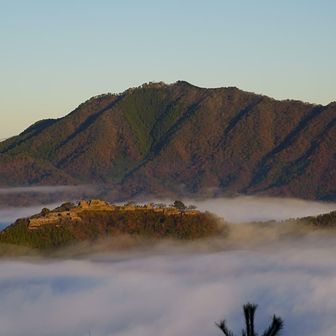 てか何やかんや同じ様な構図ばかりだった😅
でも場所変えながら見える雲海が綺麗過ぎる😁