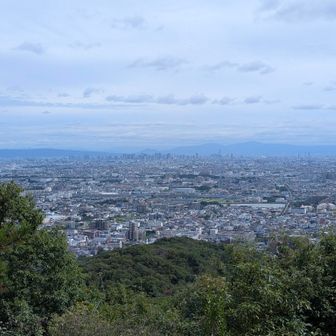 夫婦岩園地？の展望所。
さっきまで街歩していたエリア。