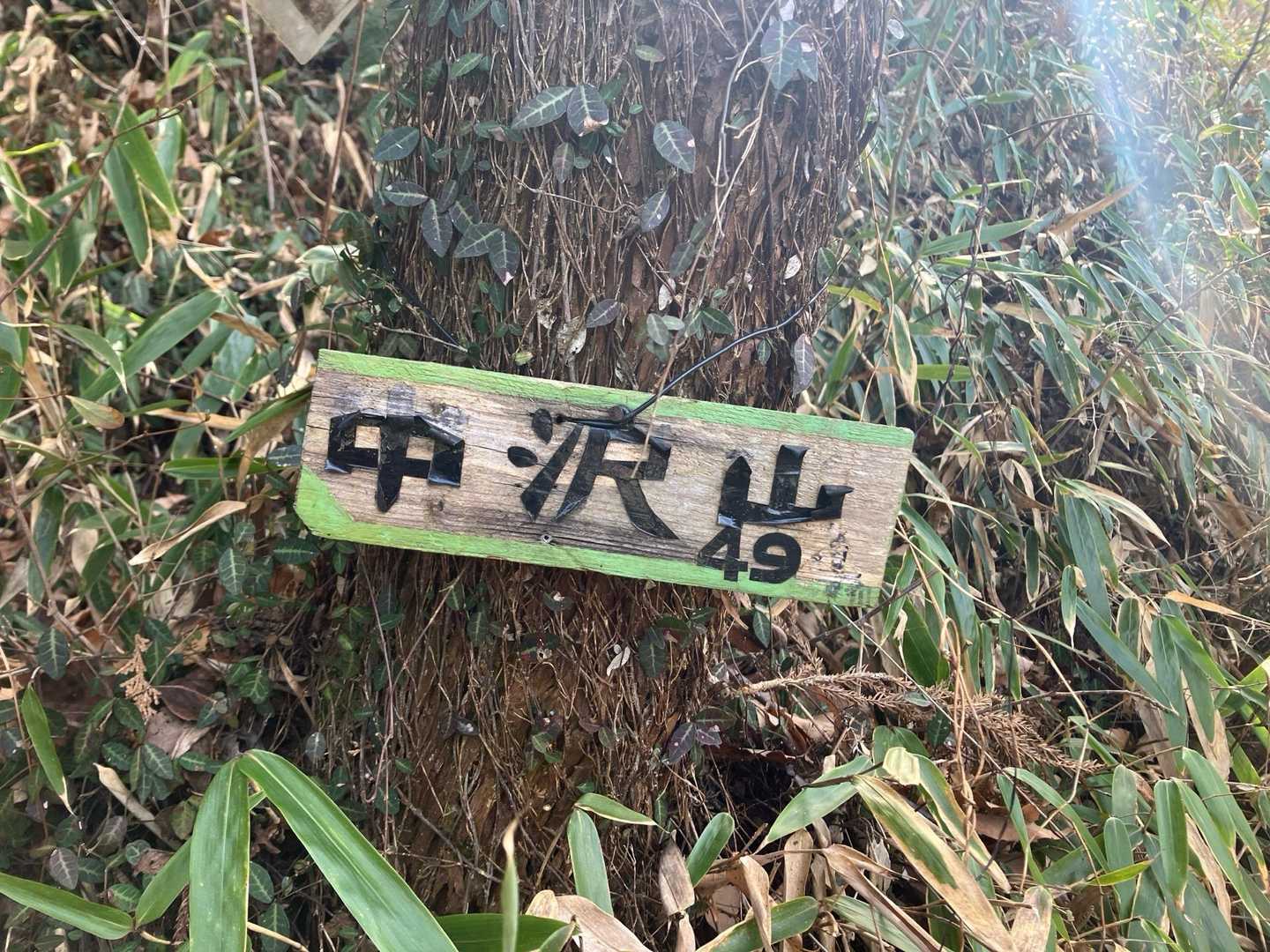 中沢山も通過〜
日陰の道が続きます🌚