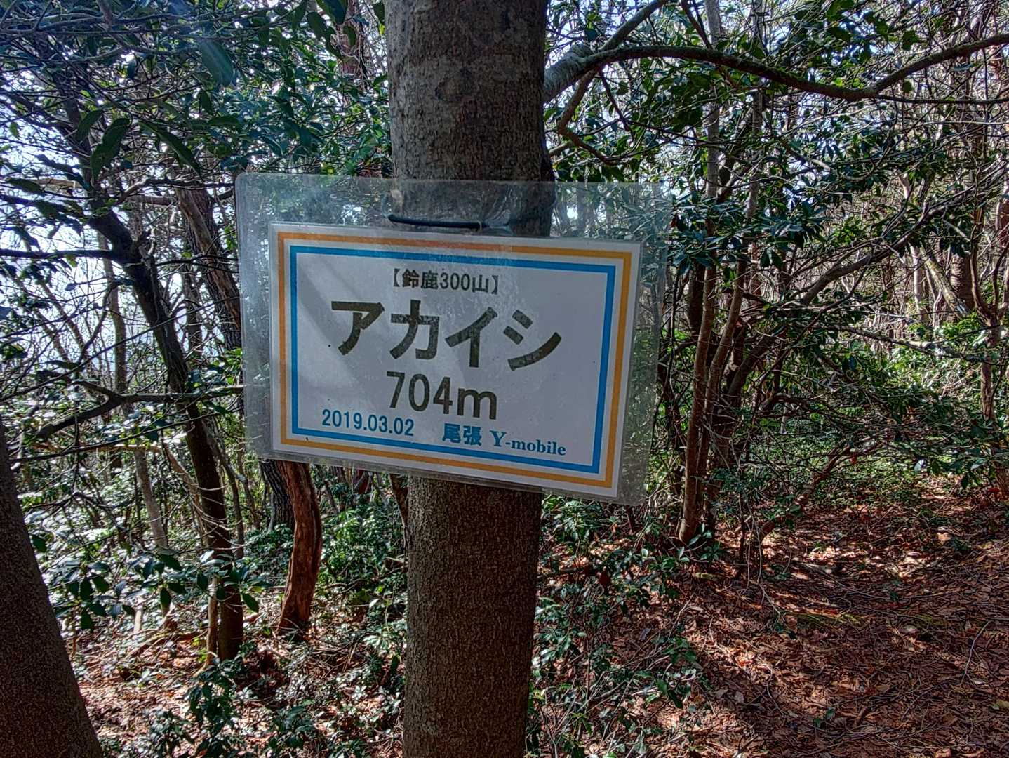 あっ、ここにもあった
