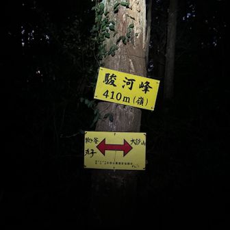 駿河峰（嶺）にはmakkoさんが十数年前に設置した看板⬆️があります💁‍♂️