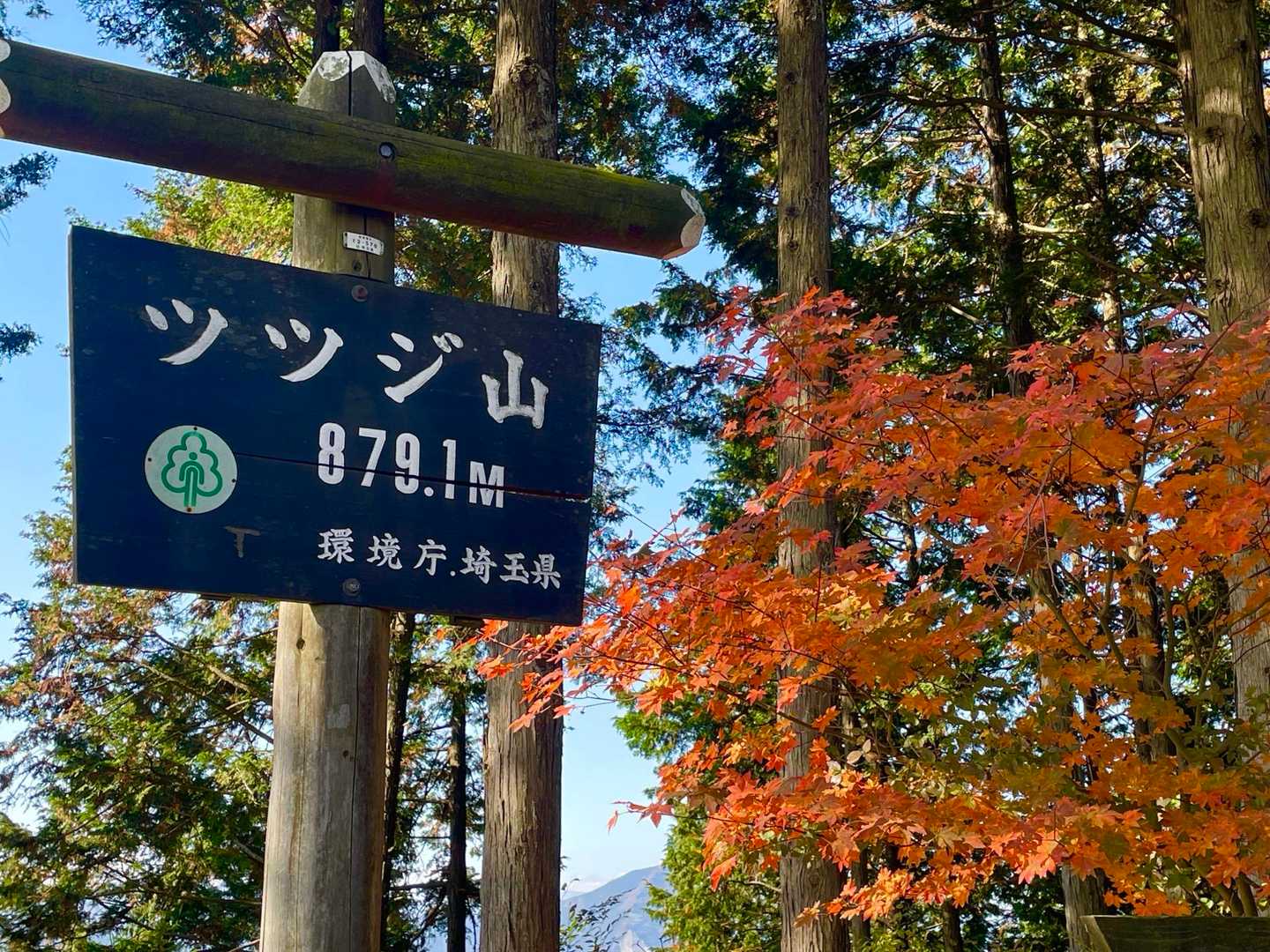 ツツジ山山頂　お日様当たってあったかい☺️