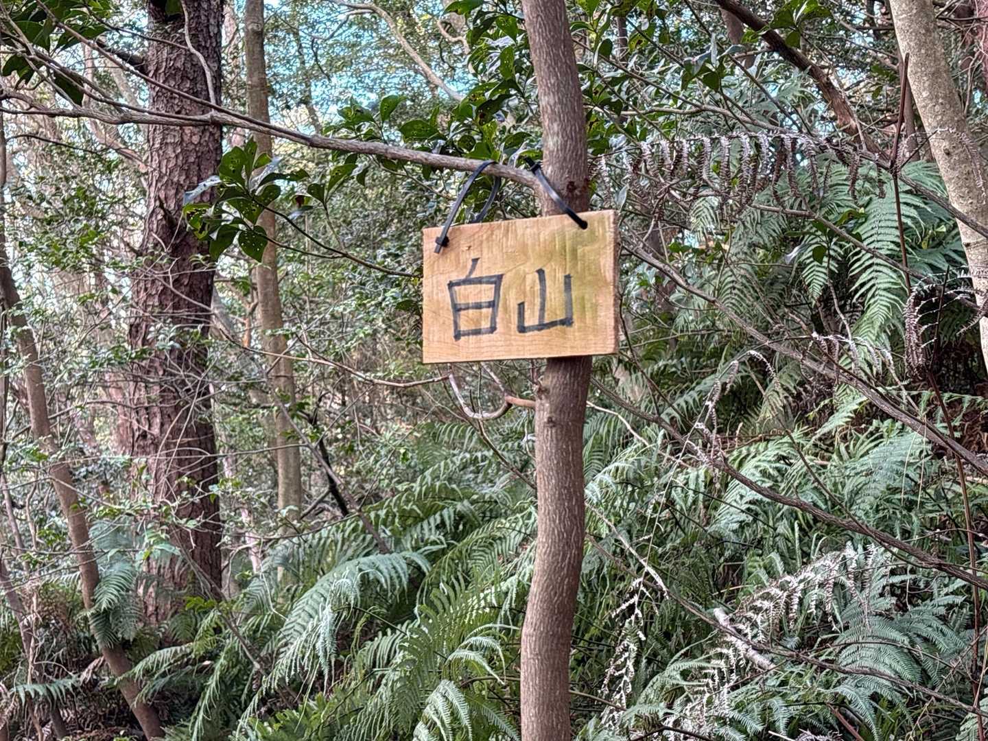 白山眺望地