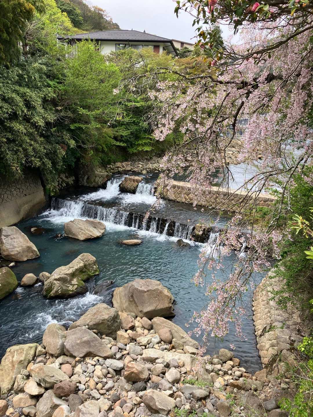 箱根湯本駅-阿弥陀寺-塔ノ峰-明星ヶ岳-宮城野橋バス停 縦走コースの写真