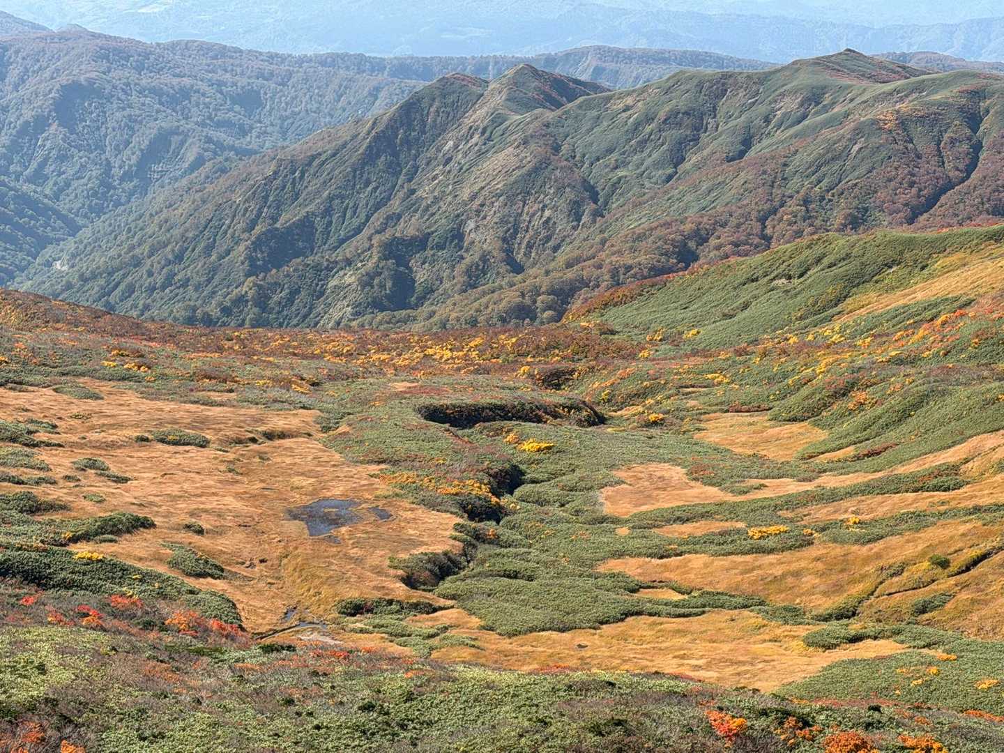 中沼登山口-焼石岳 往復コース
の写真