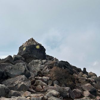 本日2回目のひとみちゃん☺️
来年もまた会いに来るね